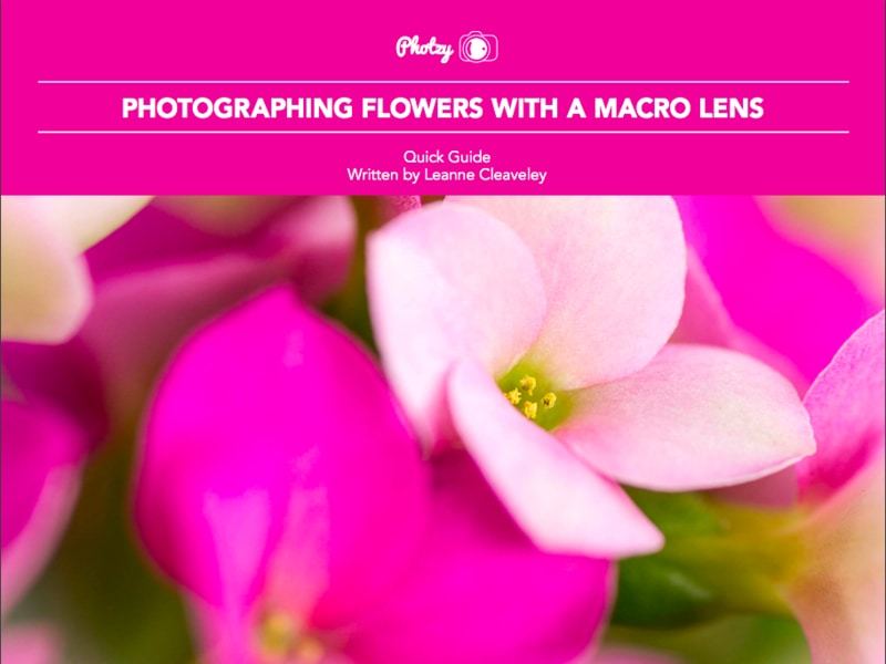 Photographing Flowers with a Macro Lens - Free Quick Guide