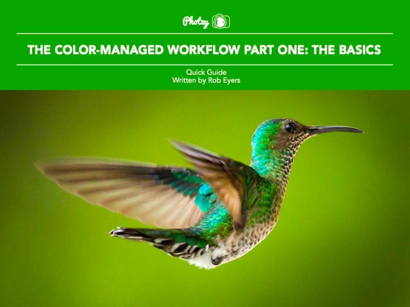 The Color-Managed Workflow Part 1: The Basics - Free Quick Guide