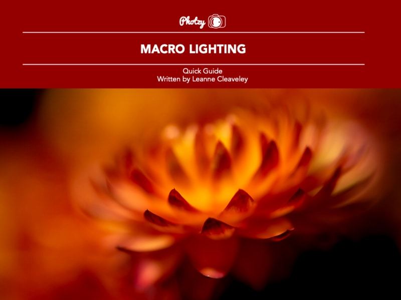 Macro Lighting - Free Quick Guide