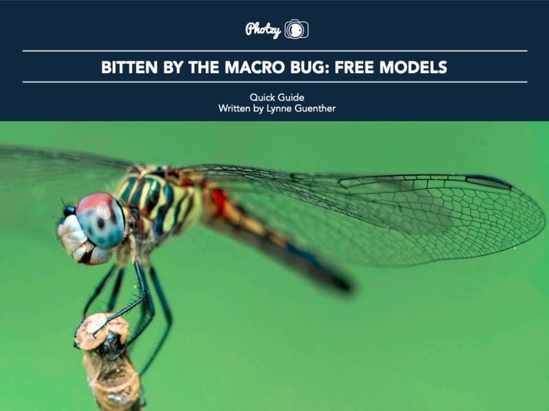 Bitten by the Macro Bug: Free Models - Free Quick Guide