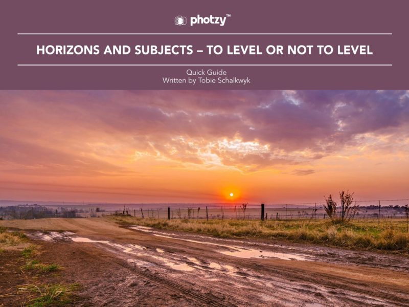 Horizons and Subjects - To Level or Not to Level - Free Quick Guide