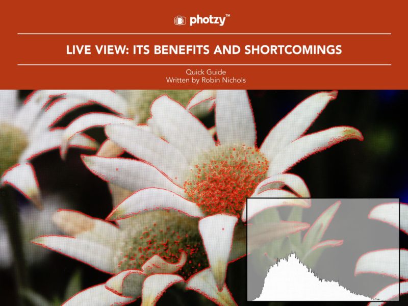 Live View: Its Benefits and Shortcomings - Free Quick Guide