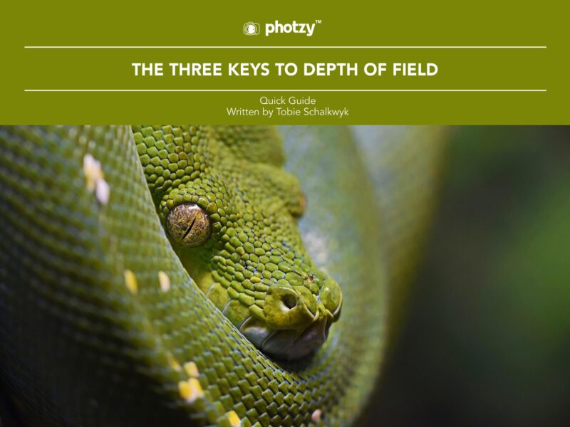 The Three Keys to Depth of Field - Free Quick Guide