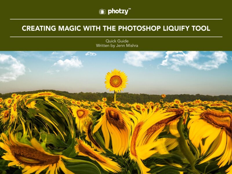 Creating Magic with the Photoshop Liquify Tool - Free Quick Guide