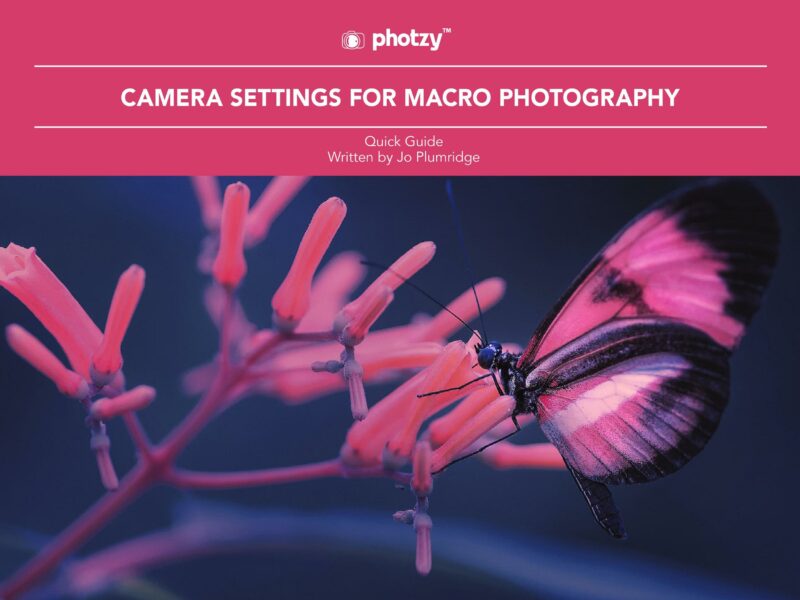 Camera Settings for Macro Photography - Free Quick Guide