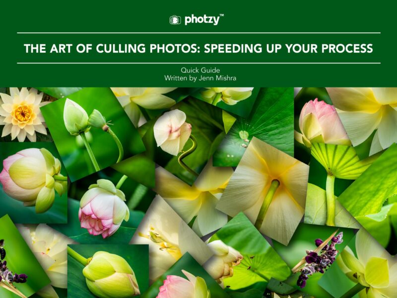 The Art of Culling Photos: Speeding Up Your Process - Free Quick Guide