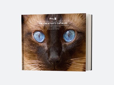 The Creativity Catalog: Beat photographer’s block today! 207 Step-by-Step Pages • 20 Jam-Packed Chapters • 4 Video Tutorials • 1 Exclusive Interview ($110 Value)