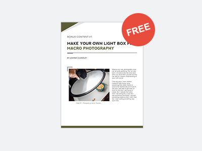 FREE BONUS: DIY Lightbox Tutorial — Make your own lightbox for Macro Photography at home ($10 Value)